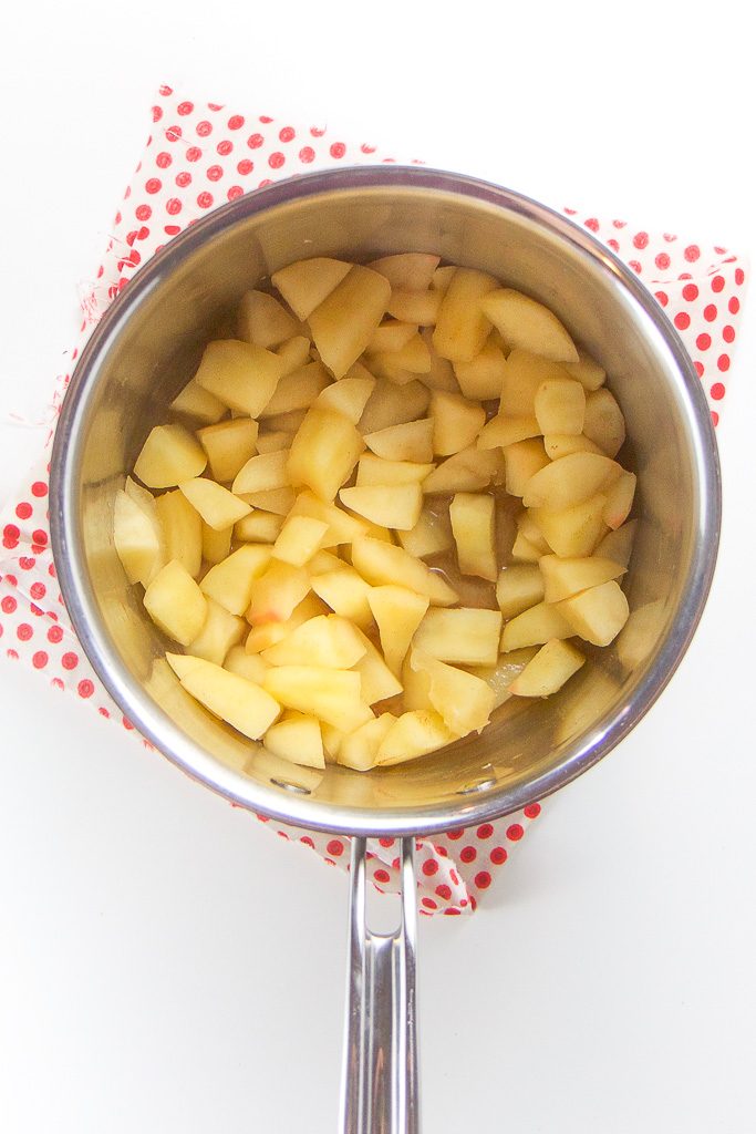 Apple + Cinnamon Baby Food Puree (4+ months and Older