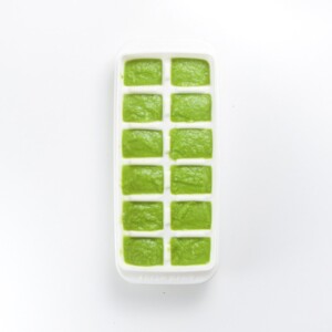 white freezer tray sitting on a white background filled with a creamy green organic green bean baby food recipe