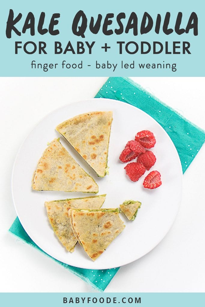 graphic for post - text reads kale quesadilla for baby and toddler - finger food - baby led weaning -. Image is of a round white plate with 4 wedges of kale quesadilla for baby and toddler and a couple of cut raspberries on the plate. 