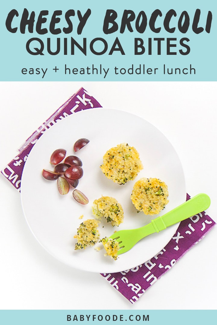 Cheesy Broccoli Quinoa Bites for Toddler (easy lunch idea!) Baby Foode