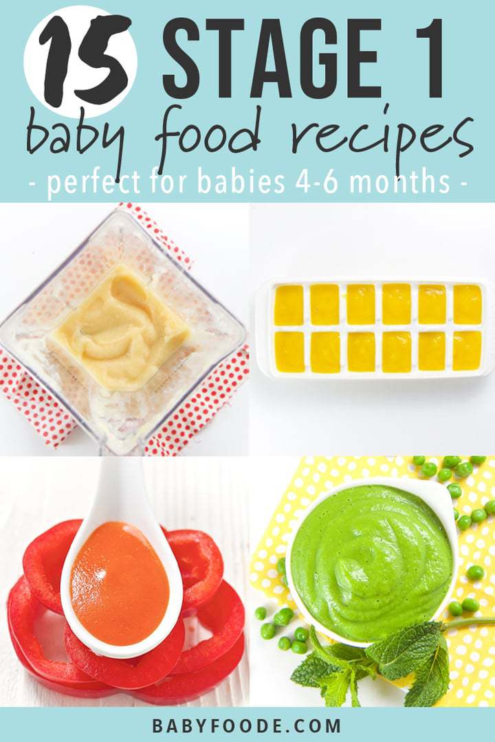 best baby food book 2019
