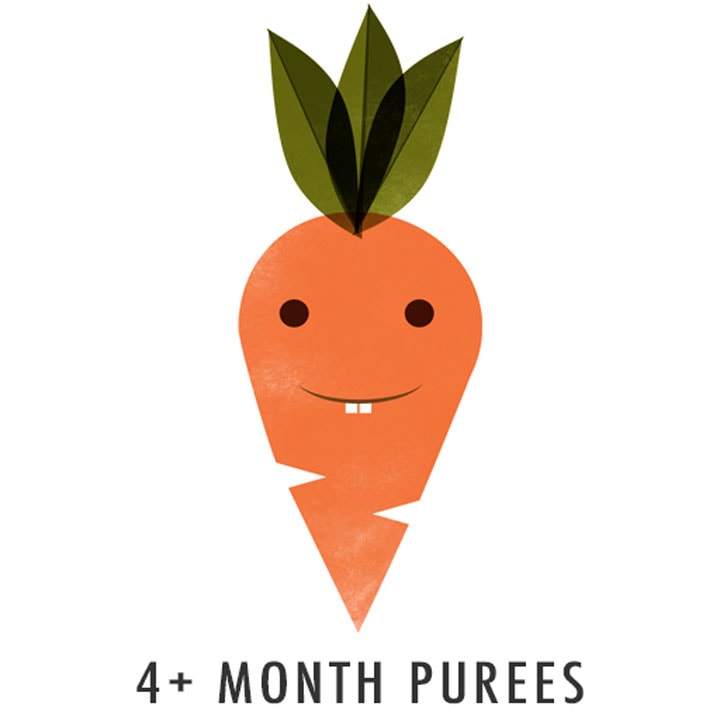 illustrated carrot - 4 month baby food purees