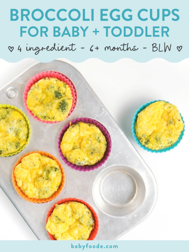 Broccoli Egg Muffins for Baby + Toddler (BabyLed Weaning) Baby Foode