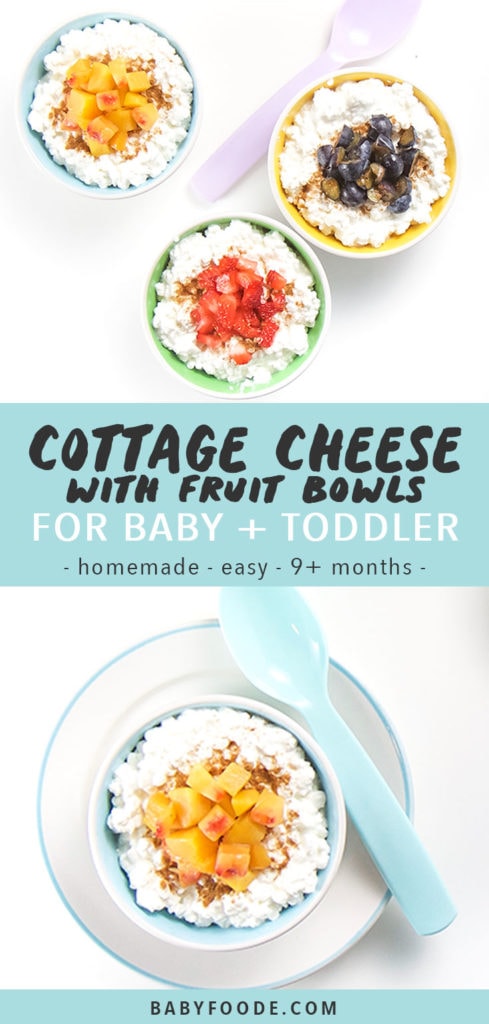 Graphic for post - cottage cheese with fruit bowls for baby + toddler - homemade - easy - 9+ months with images of 3 bowls filled with the cottage cheese for baby.