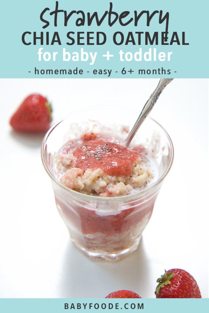 Easy Strawberry + Chia Seed Oatmeal Baby Foode