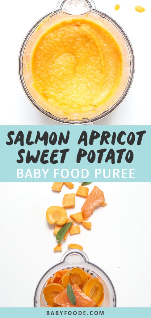 Graphic for Post - Salmon Apricot sweet Potato Baby Food Puree, with images of a blender full of homemade baby puree and another with produce scattered outside of blender on white background.
