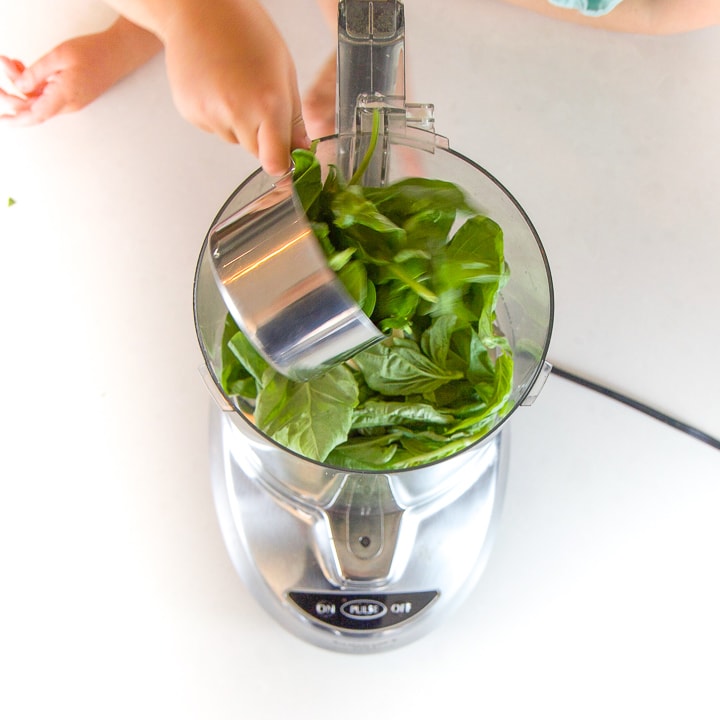 Cup of spinach getting poured into a food processor. 