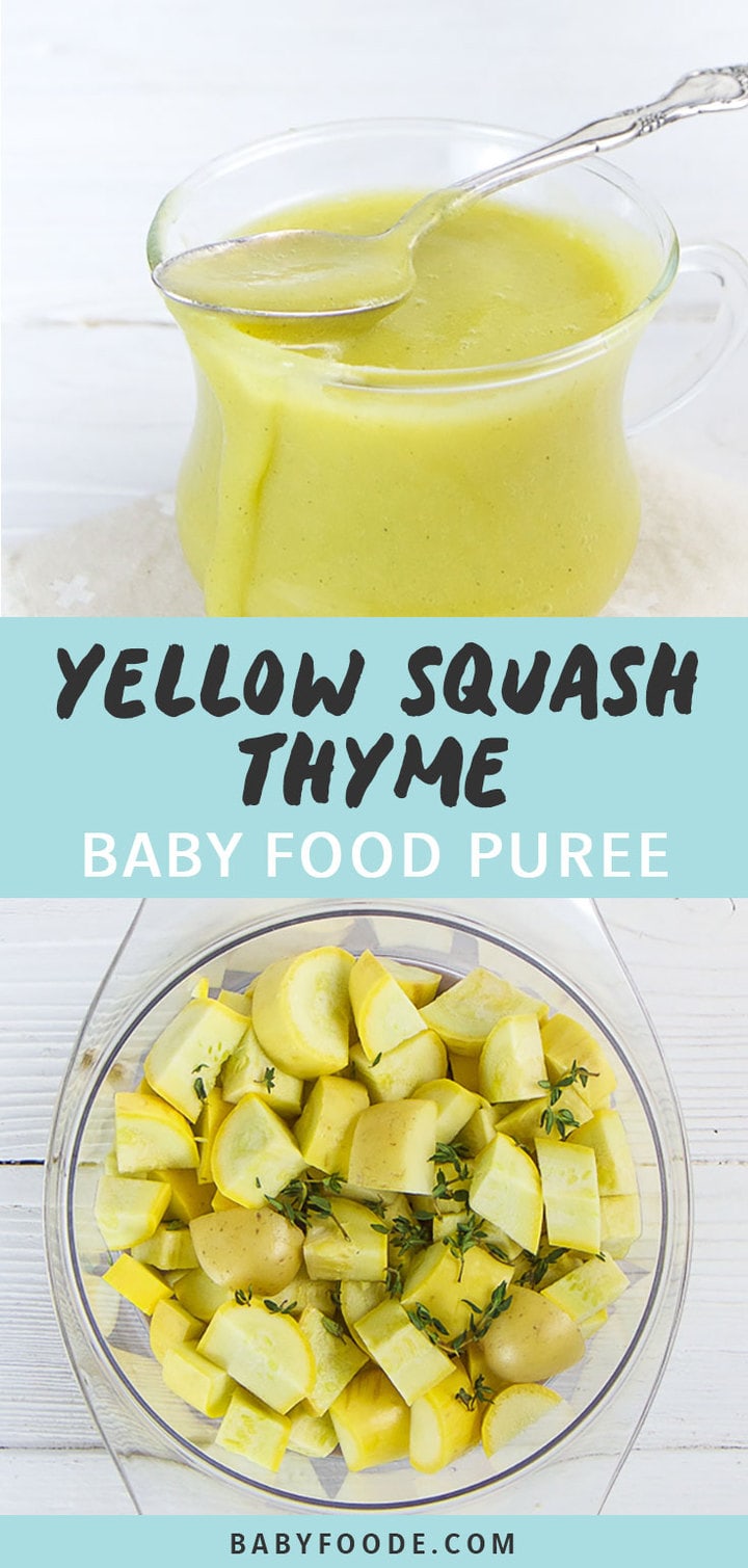 Yellow Squash + Thyme Baby Food Puree (Stage 1) Baby Foode
