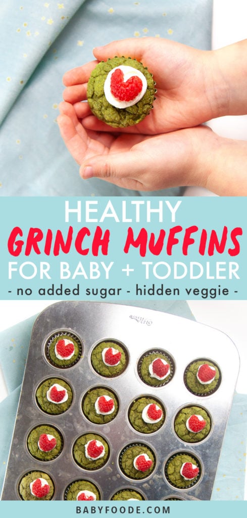 Graphic for post - Healthy Grinch Muffins for Baby + Toddler - no sugar added - hidden veggie - Two small toddler hands holding a mini green grinch muffin as well as an image of a mini muffin mold full of cooked and decorated muffins.