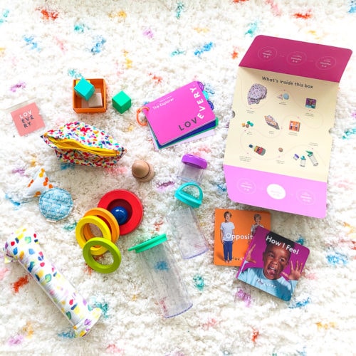 10 Best Baby & Toddler Subscription Boxes 2024 Baby Foode