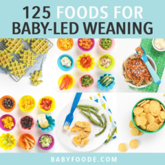 Graphic for post - 125 foods for baby led weaning with a grid of recipes and foods for baby.