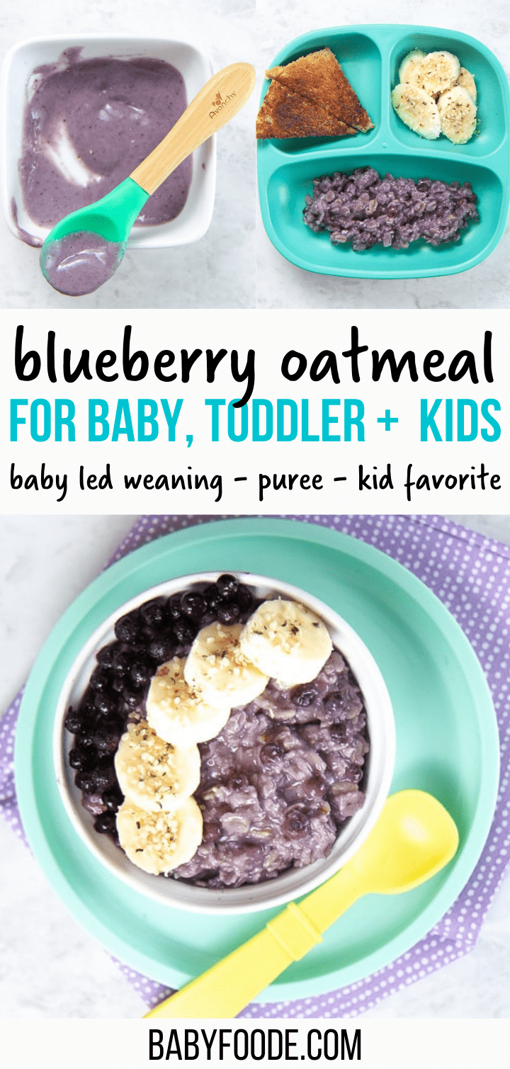 Blueberry Oatmeal for Baby, Toddler & Kids (10Minutes) Baby Foode