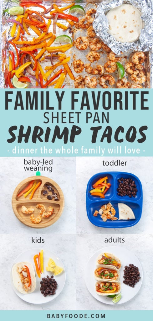 Graphic for Post - Family Favorite Sheet Pan Shrimp Tacos - dinner the whole family will love. Images are a grid of plates for all ages - baby led weaning, toddler, kids and adults as well as an image of a sheet pan with cooked shrimp fixings.
