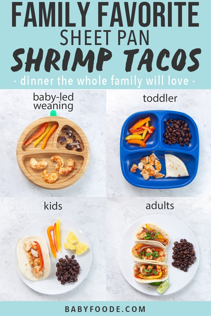 Graphic for Post - Family Favorite Sheet Pan Shrimp Tacos - dinner the whole family will love. Images are a grid of plates for all ages - baby led weaning, toddler, kids and adults. 