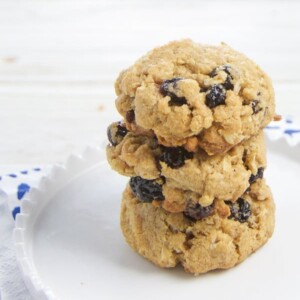 easy oatmeal blueberry cookies for toddler