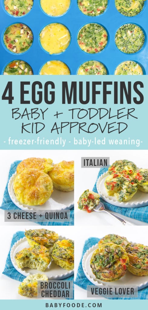 Graphic for Posts - 4 egg muffins, baby, toddler and kid approved - freezer friendly and baby led weaning. Images are of grid of egg muffins.