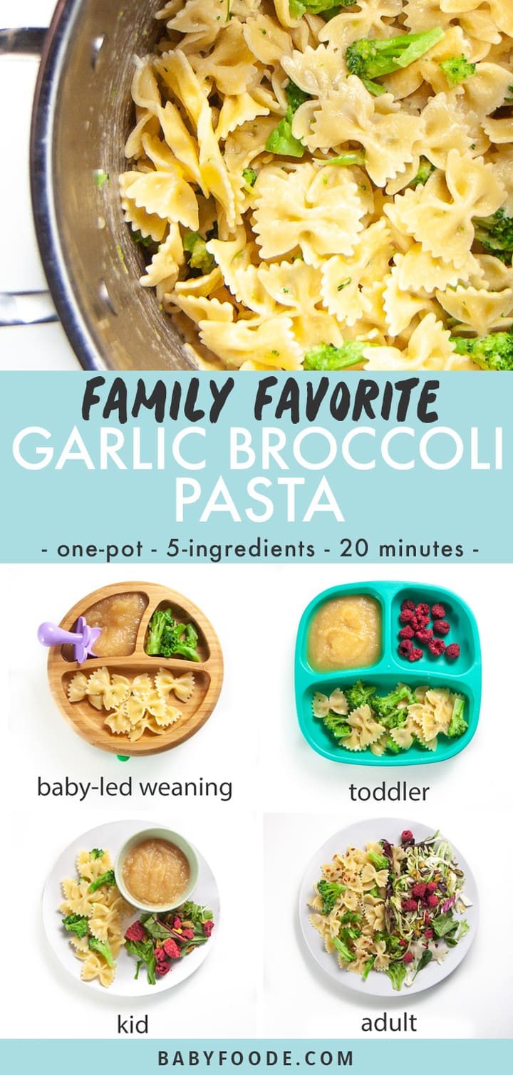 Graphic for post - family favorite garlic broccoli pasta - one pot - 5 ingredients - 20 minutes. Images are of a pot of pasta and a grid of how a baby, toddler, kid and adult would eat it. 