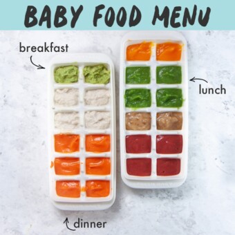 Baby Food Menu with 2 trays of baby food purees for breakfast, lunch and dinner.