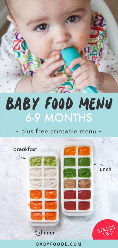 Graphic for Post - Baby Food Menu - 6-9 Months, plus free printable menu. Image is of freezer trays filled with baby food purees.