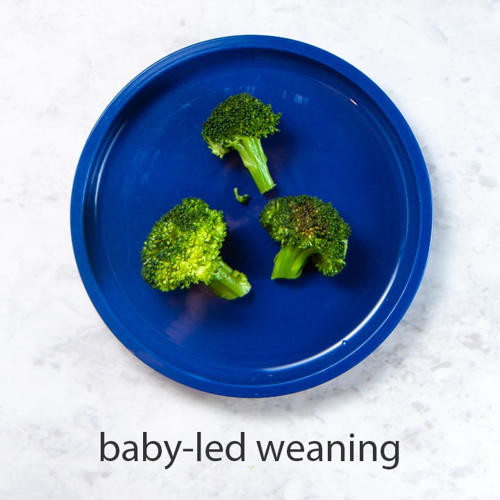 broccoli a plate is ready for baby led weaning.