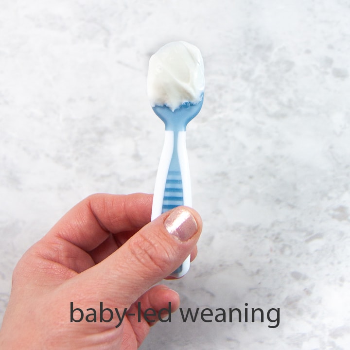 baby led weaning spoon loaded with yogurt ready for baby to eat.