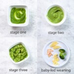 grid of images showing the different baby food stages.
