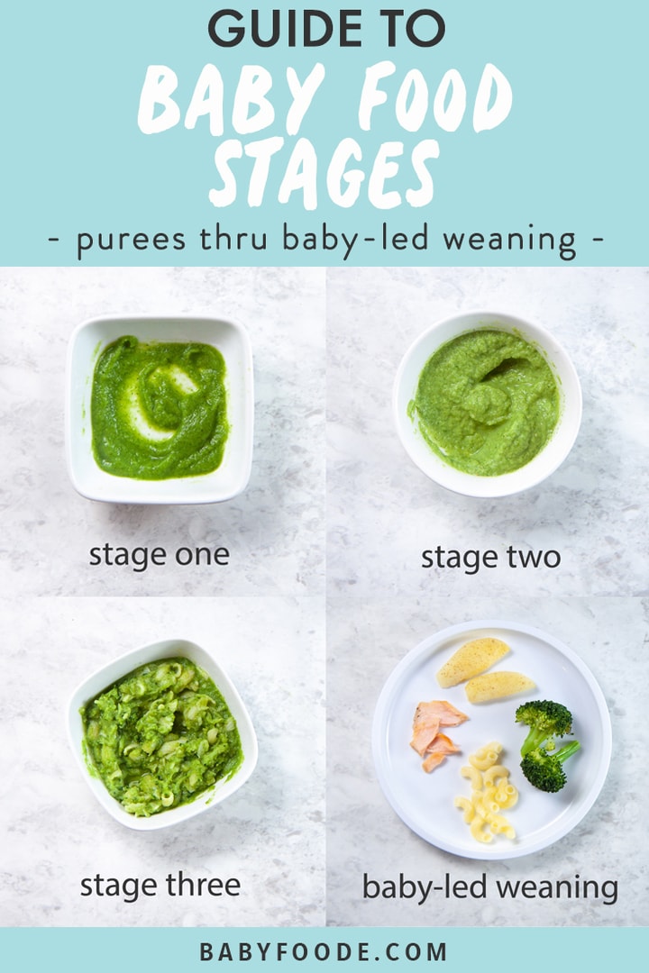 Graphic for post - Guide to Baby Food Stages - purees thru finger foods with baby led weaning. Images are a grid of bowls full of the different stages. 