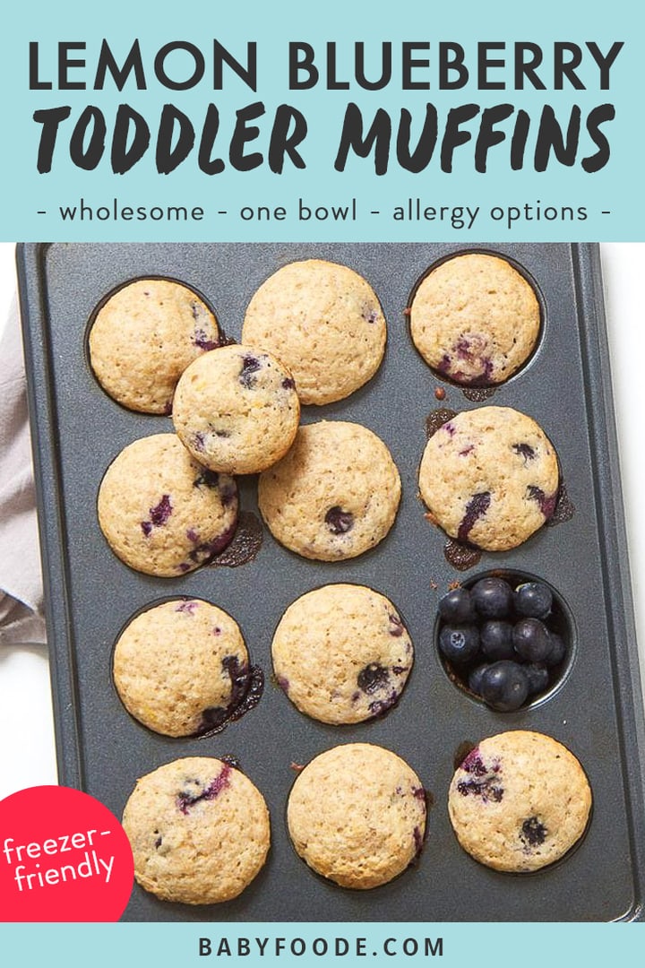Graphic for Post - Lemon Blueberry Toddler Muffins - with images of the mini muffins.