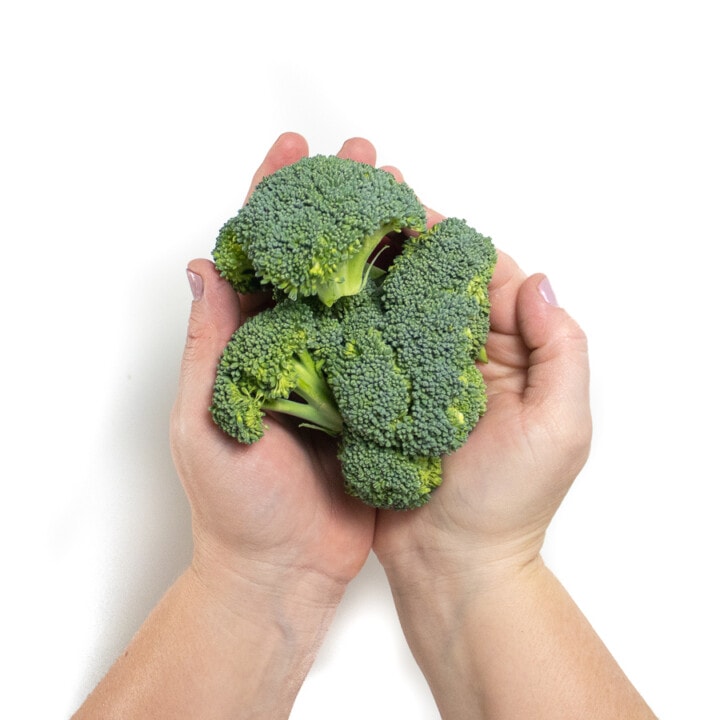 2 hands holding a bunch of broccoli
