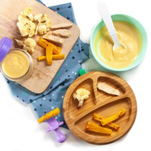 spread of meal for baby - purees or finger foods for baby-led weaning.