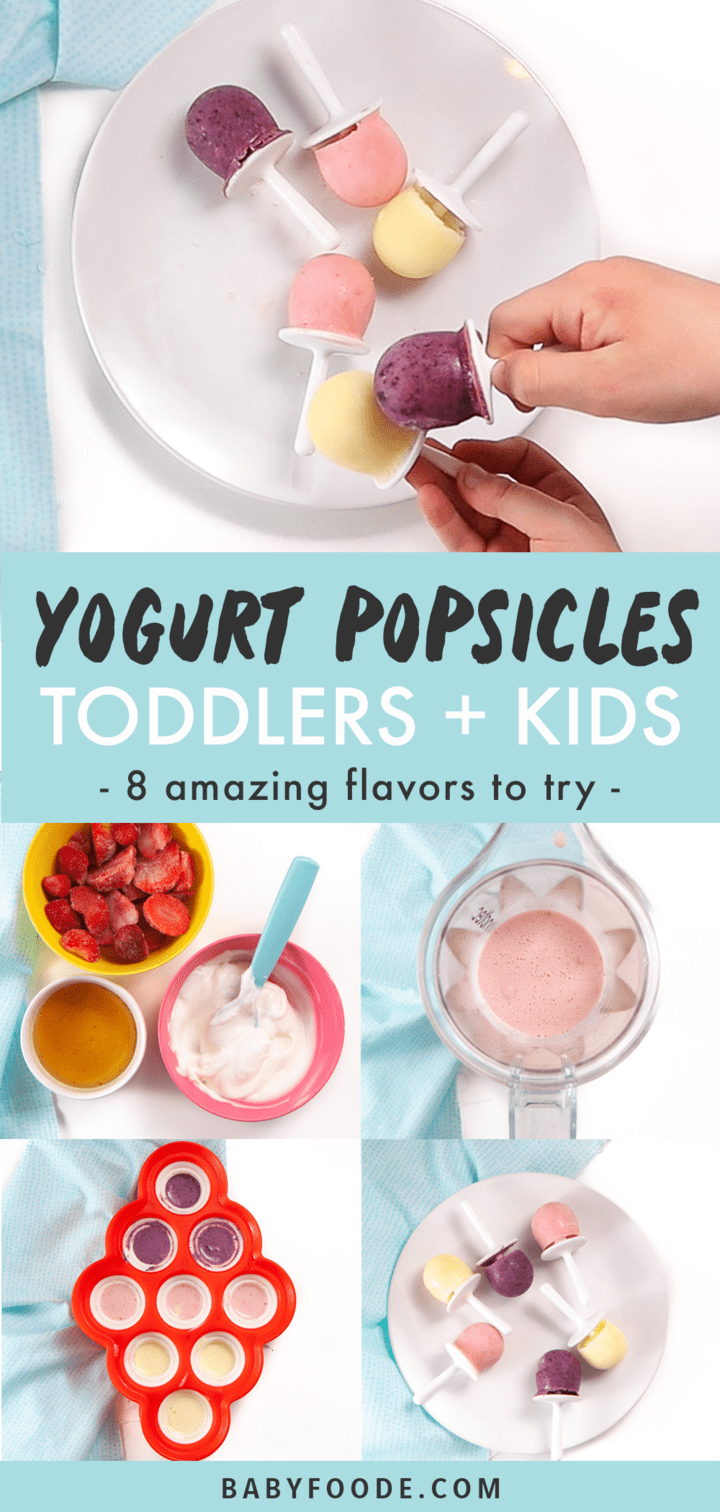 CrushWorthy Yogurt & Fruit Popsicles for Kids Baby Foode