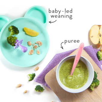 one meal for baby - baby food puree or baby-led weaning.