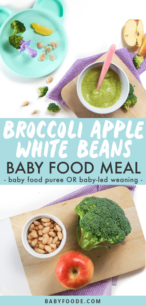 Graphic for Post - Broccoli, Apple and White Bean Baby Food Meal - great for baby food puree or for baby-led weaning with images of how to serve them to baby both ways.