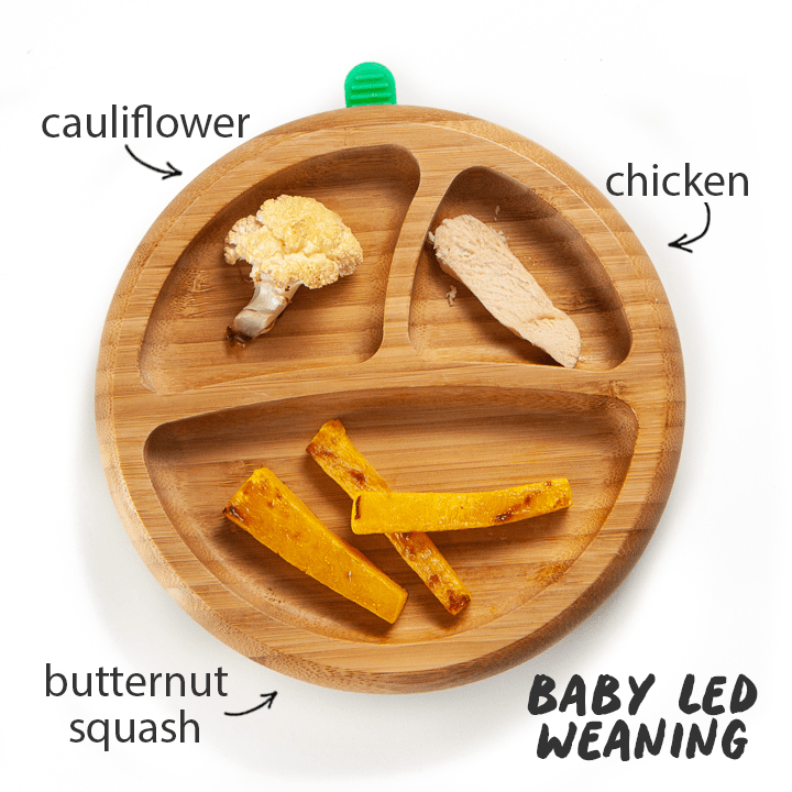 plate filled with squash, cauliflower and chicken for baby in finger foods.