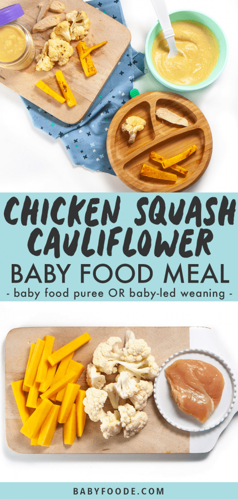 Graphic for post - chicken squash cauliflower baby food meal - 6+ month puree or blw. Image is of a spread of cooked ingredients and showing how to serve them to baby as a puree or as finger foods for baby-led weaning.