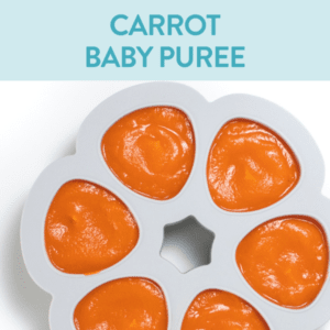 carrot baby puree - gray storage container filled with a smooth carrot puree.