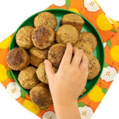 Small kids hand holding a plate of mini applesauce muffins made with whole wheat or gluten free flower.