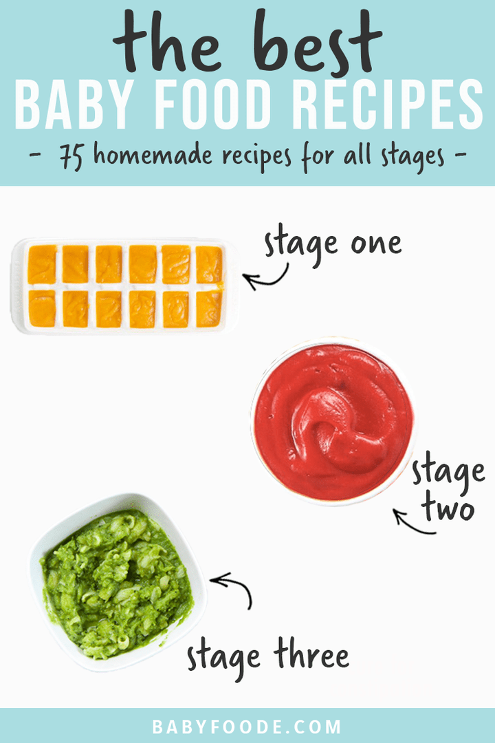 Graphic for post - the best baby food recipes - 75 homemade recipes for all stages - stage one, stage two and stage three. Images are of a spread of baby foods as well as a graphic showing the different stages. 
