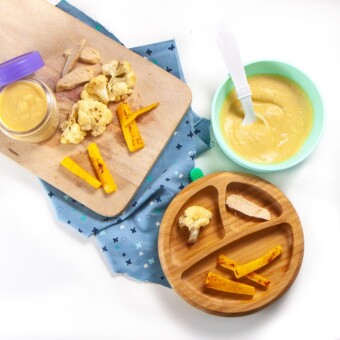 Graphic for post - baby plate with finger foods of chicken, squash and cauliflower and a bowl of it pureed sitting next to it.