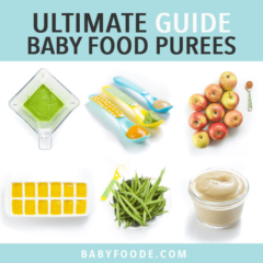 Graphic for post - ultimate guide baby food purees. Images are in a grid of fresh produce, jars of puree, spoons with puree resting inside and a blender full of green puree.
