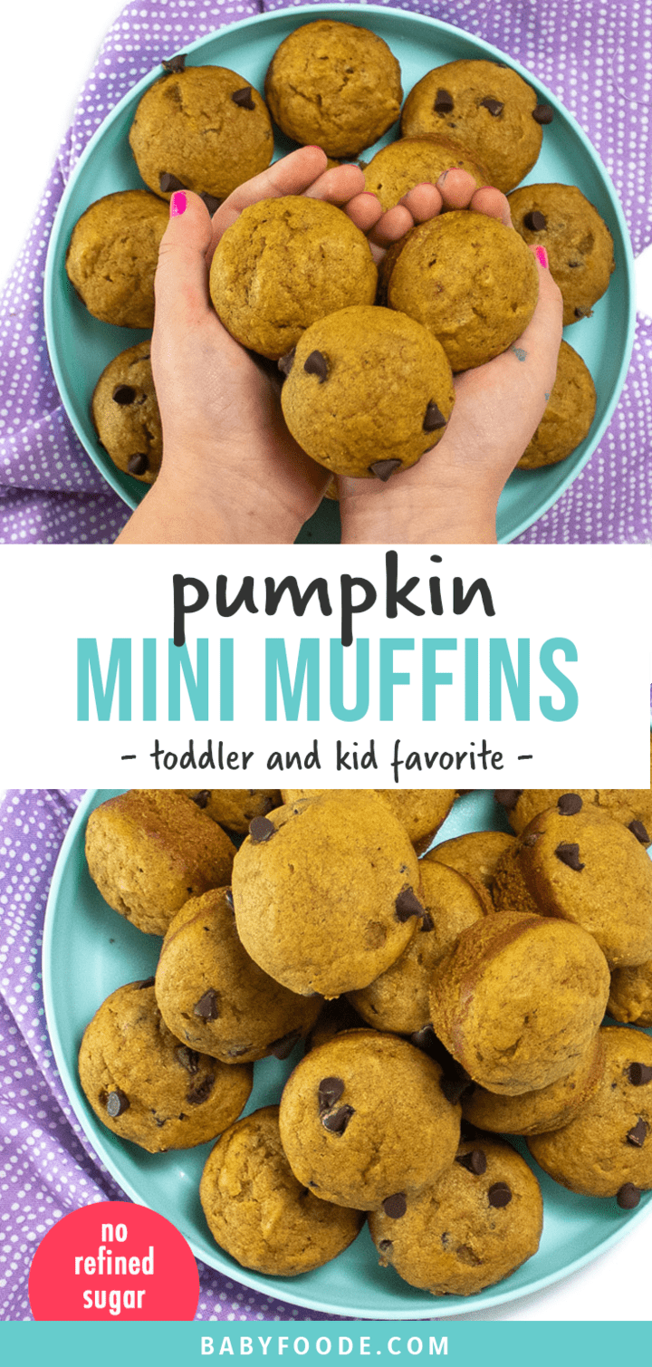 Healthy Mini Pumpkin Muffins for Toddler + Kids Baby Foode