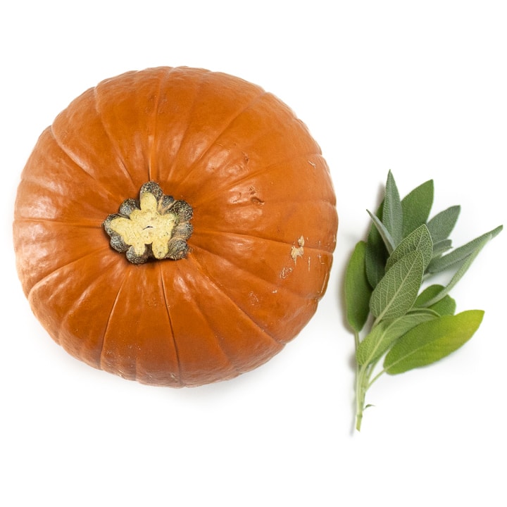 Pumpkin thyme purée