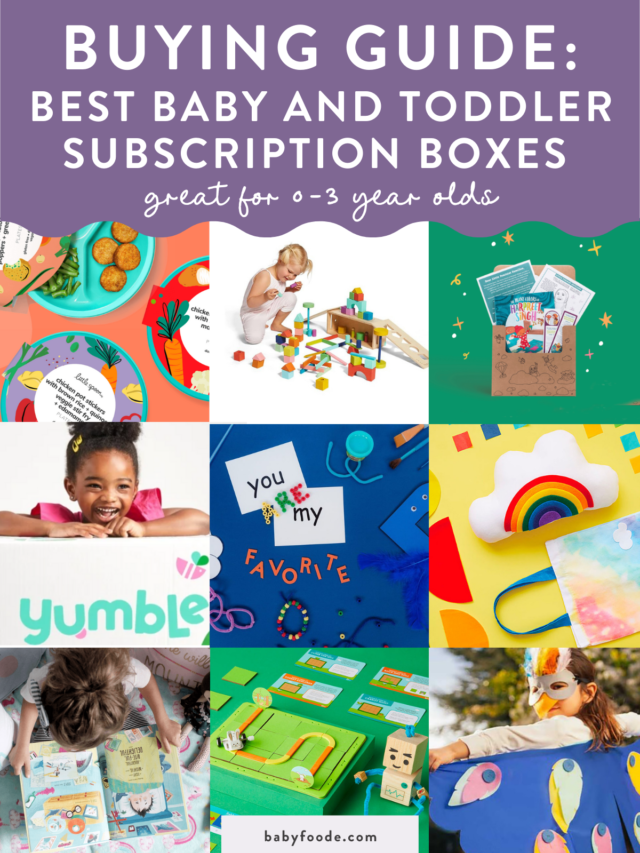 10 Best Baby & Toddler Subscription Boxes 2024 Baby Foode