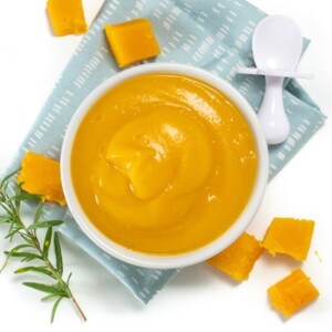 butternut squash puree in a white bowl on top of a blue napkin.