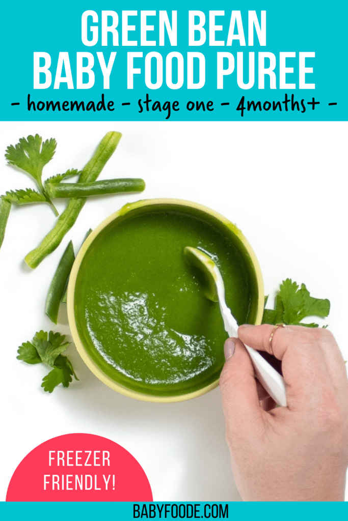 how to make homemade green beans baby food