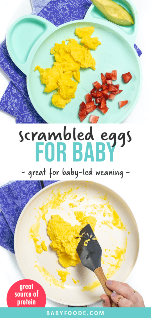 Graphic for post - scrambled eggs for baby - great for baby-led weaning - great source of protein. Image is of a teal baby plate with fluffy scrambled eggs, chopped strawberries and an avocado slice for baby as well as an image of a skillet with hands making the eggs.