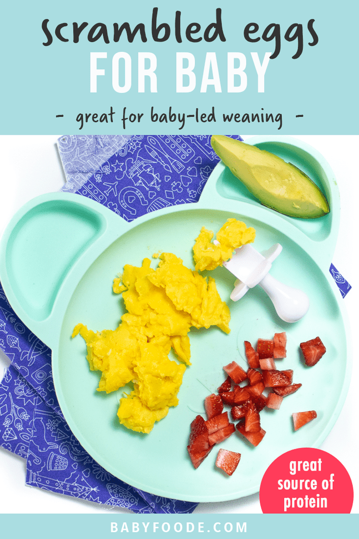 Graphic for post - scrambled eggs for baby - great for baby-led weaning - great source of protein. Image is of a teal baby plate with fluffy scrambled eggs, chopped strawberries and an avocado slice for baby.