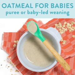 graphic for post- oatmeal for babies - purees or baby-led weaning, image is of bowl with pureed oats with spoon resting on top,