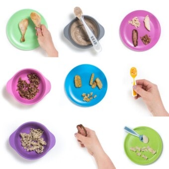 grid of baby plates and bowls showing all the different ways you can serve meat - chicken, beef, lamb, pork and turkey - to your baby.