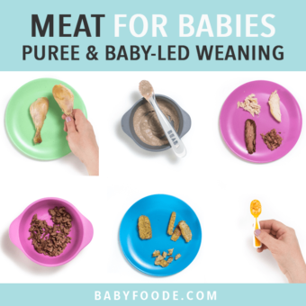 Graphic for post- meat for baby - purees or baby-led weaning. Images are in a grid of colorful kid plates with meat on them.